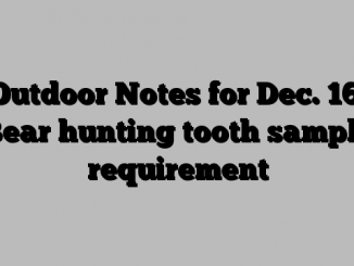 Outdoor Notes for Dec. 16: Bear hunting tooth sample requirement