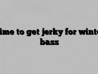 Time to get jerky for winter bass