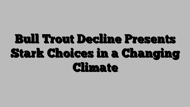 Bull Trout Decline Presents Stark Choices in a Changing Climate