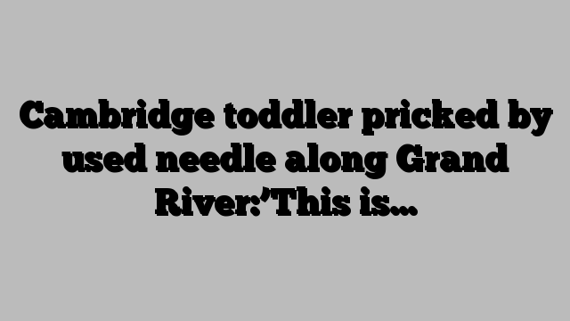 Cambridge toddler pricked by used needle along Grand River:’This is…