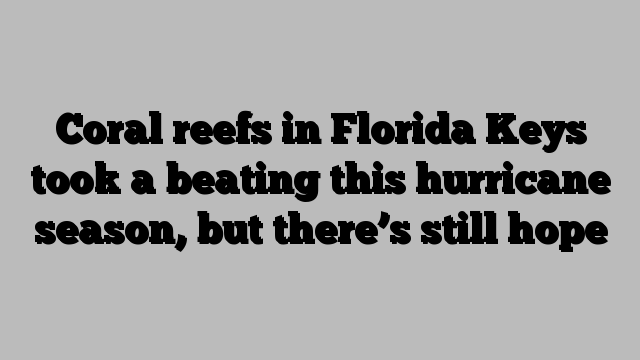 Coral reefs in Florida Keys took a beating this hurricane season, but there’s still hope