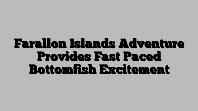 Farallon Islands Adventure Provides Fast Paced Bottomfish Excitement