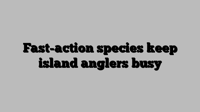 Fast-action species keep island anglers busy