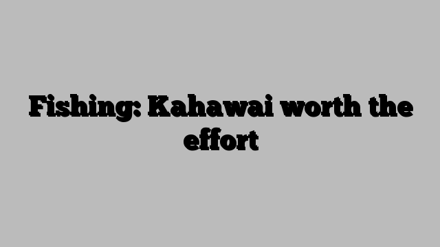 Fishing: Kahawai worth the effort