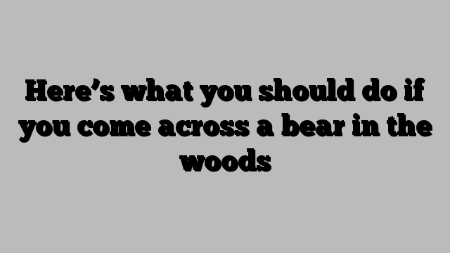 Here’s what you should do if you come across a bear in the woods