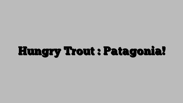 Hungry Trout : Patagonia!