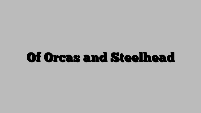 Of Orcas and Steelhead