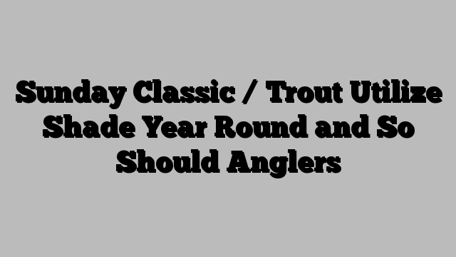 Sunday Classic / Trout Utilize Shade Year Round and So Should Anglers