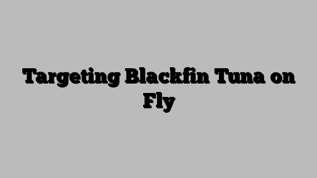 Targeting Blackfin Tuna on Fly