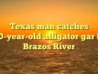 Texas man catches 60-year-old alligator gar in Brazos River