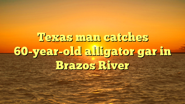 Texas man catches 60-year-old alligator gar in Brazos River