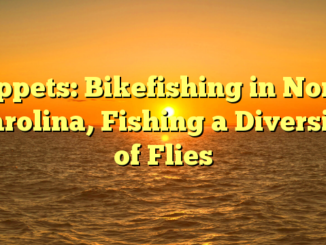 Tippets: Bikefishing in North Carolina, Fishing a Diversity of Flies