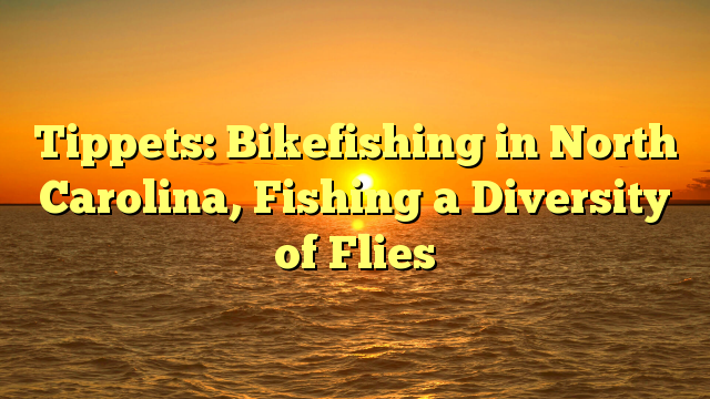 Tippets: Bikefishing in North Carolina, Fishing a Diversity of Flies