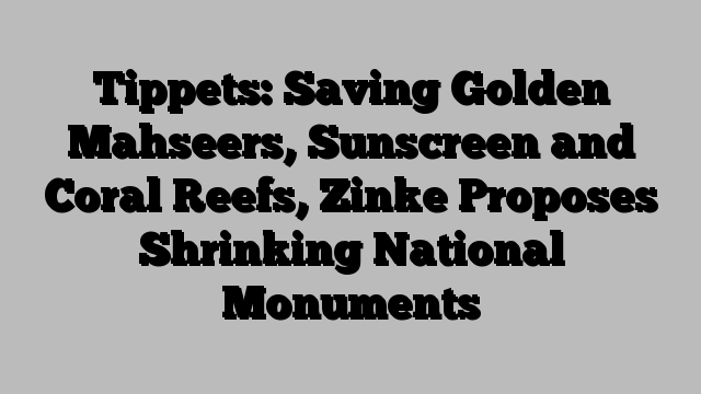 Tippets: Saving Golden Mahseers, Sunscreen and Coral Reefs, Zinke Proposes Shrinking National Monuments