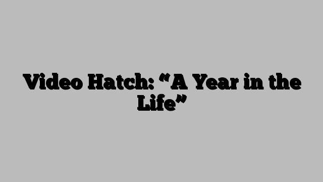 Video Hatch: “A Year in the Life”