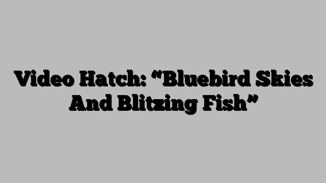 Video Hatch: “Bluebird Skies And Blitzing Fish”