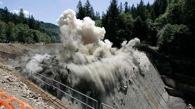 Decade after dam removal, fish rebounding on Sandy River