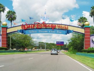 Walt Disney World will finally welcome dogs at (some) hotels