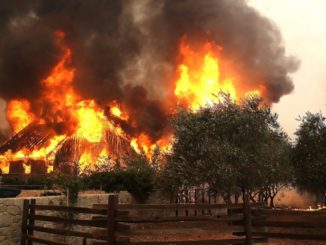 Why wildfire season is getting longer and more destructive