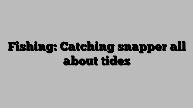 Fishing: Catching snapper all about tides