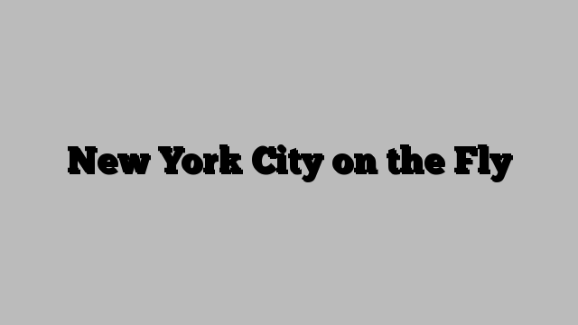 New York City on the Fly