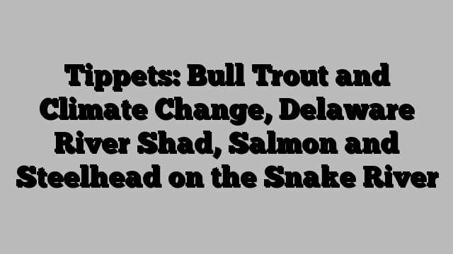 Tippets: Bull Trout and Climate Change, Delaware River Shad, Salmon and Steelhead on the Snake River