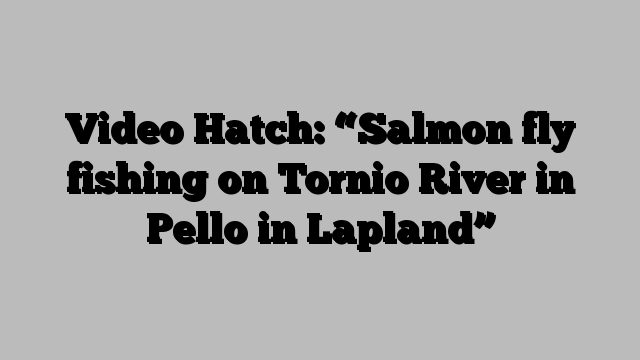 Video Hatch: “Salmon fly fishing on Tornio River in Pello in Lapland”