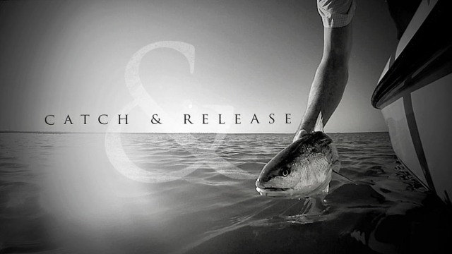 Catch and Release