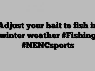 Adjust your bait to fish in winter weather #Fishing #NENCsports