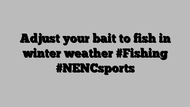 Adjust your bait to fish in winter weather #Fishing #NENCsports