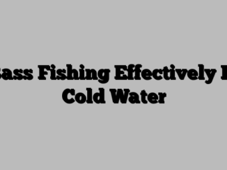 Bass Fishing Effectively In Cold Water