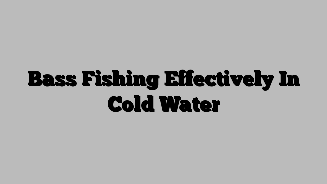 Bass Fishing Effectively In Cold Water