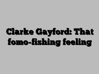 Clarke Gayford: That fomo-fishing feeling