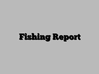 Fishing Report