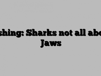 Fishing: Sharks not all about Jaws