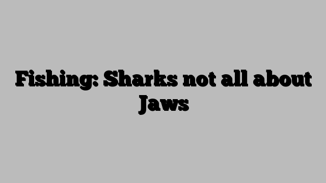 Fishing: Sharks not all about Jaws