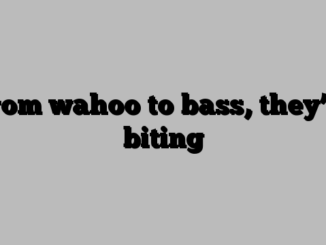 From wahoo to bass, they’re biting