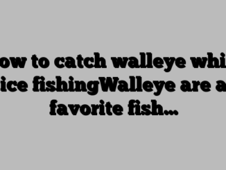 How to catch walleye while ice fishingWalleye are a favorite fish…