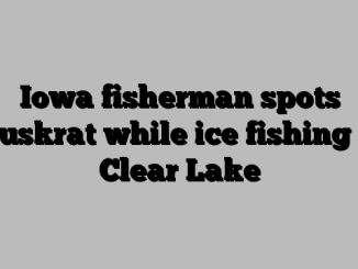 Iowa fisherman spots muskrat while ice fishing in Clear Lake