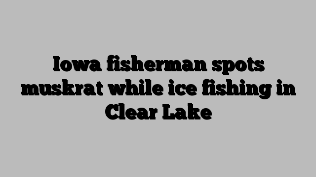 Iowa fisherman spots muskrat while ice fishing in Clear Lake