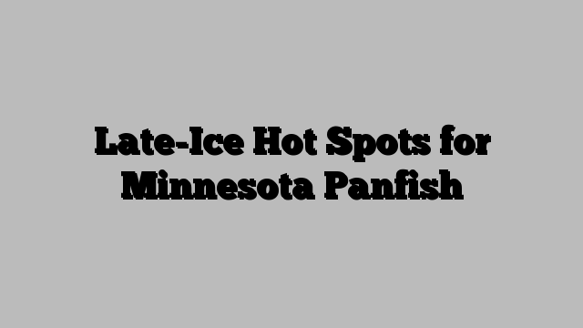 Late-Ice Hot Spots for Minnesota Panfish