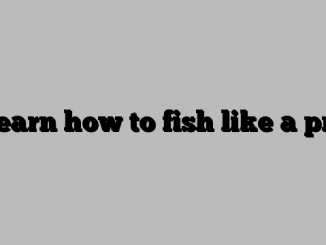 Learn how to fish like a pro