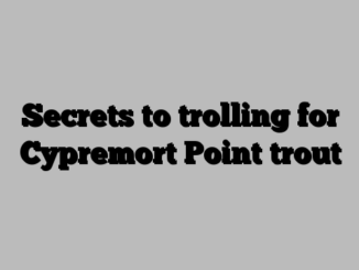 Secrets to trolling for Cypremort Point trout