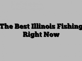 The Best Illinois Fishing Right Now