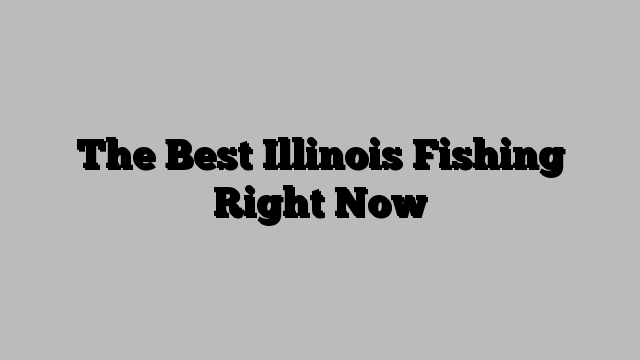 The Best Illinois Fishing Right Now