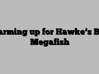 Warming up for Hawke’s Bay Megafish