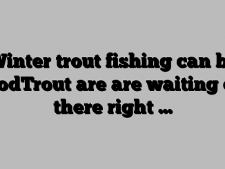 Winter trout fishing can be goodTrout are are waiting out there right …