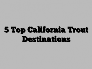 5 Top California Trout Destinations