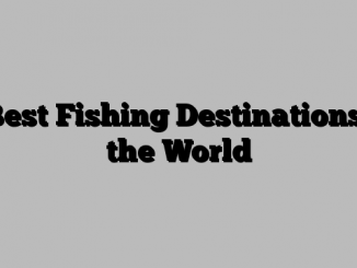 6 Best Fishing Destinations in the World