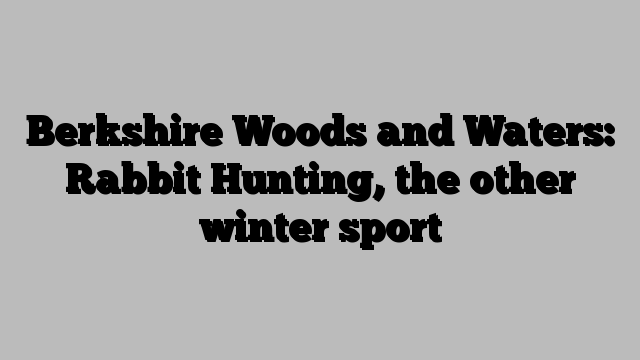 Berkshire Woods and Waters: Rabbit Hunting, the other winter sport